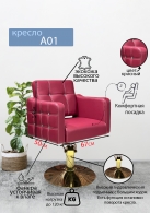 Следующий товар - Парикмахерское кресло "А01", бордо, диск золотой