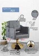 Следующий товар - Парикмахерское кресло "А01", диск золотой